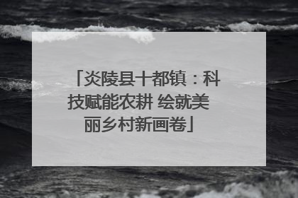 炎陵县十都镇：科技赋能农耕 绘就美丽乡村新画卷