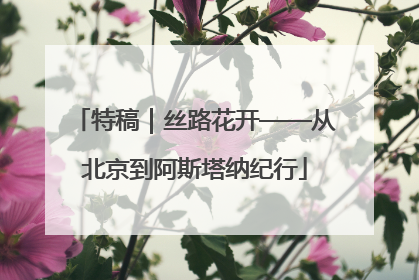 特稿｜丝路花开——从北京到阿斯塔纳纪行