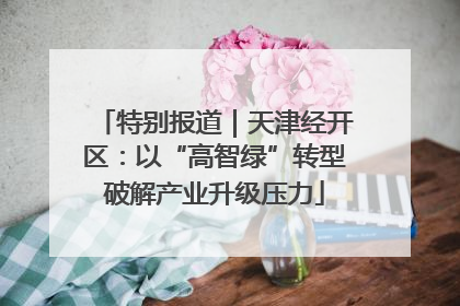 特别报道｜天津经开区：以“高智绿”转型破解产业升级压力