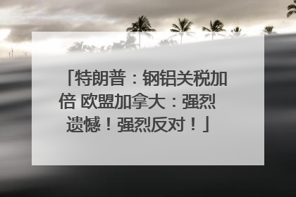 特朗普：钢铝关税加倍 欧盟加拿大：强烈遗憾！强烈反对！