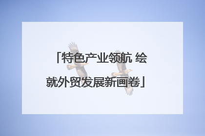 特色产业领航 绘就外贸发展新画卷