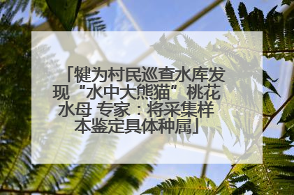 犍为村民巡查水库发现“水中大熊猫”桃花水母 专家：将采集样本鉴定具体种属