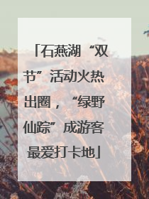 石燕湖“双节”活动火热出圈，“绿野仙踪”成游客最爱打卡地