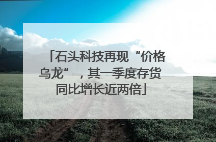 石头科技再现“价格乌龙”，其一季度存货同比增长近两倍
