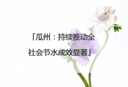 瓜州：持续推动全社会节水成效显著