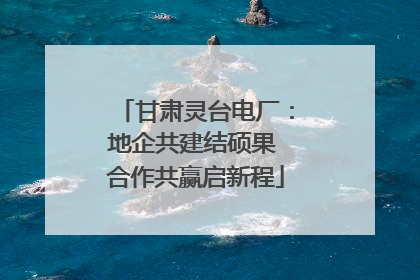 甘肃灵台电厂：地企共建结硕果 合作共赢启新程