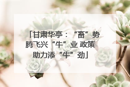 甘肃华亭：“畜”势腾飞兴“牛”业 政策助力添“牛”劲