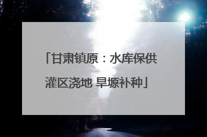 甘肃镇原：水库保供 灌区浇地 旱塬补种