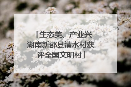 生态美、产业兴 湖南新邵县清水村获评全国文明村