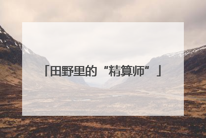田野里的“精算师”