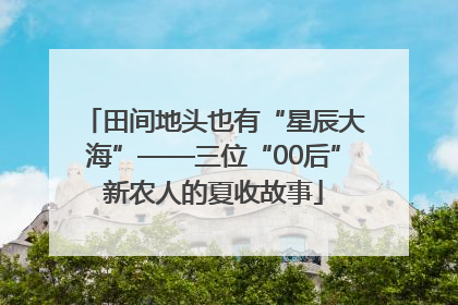 田间地头也有“星辰大海”——三位“00后”新农人的夏收故事