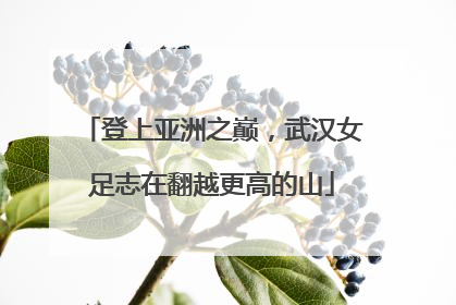 登上亚洲之巅，武汉女足志在翻越更高的山
