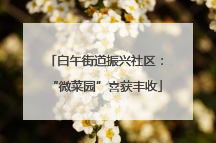 白午街道振兴社区：“微菜园”喜获丰收
