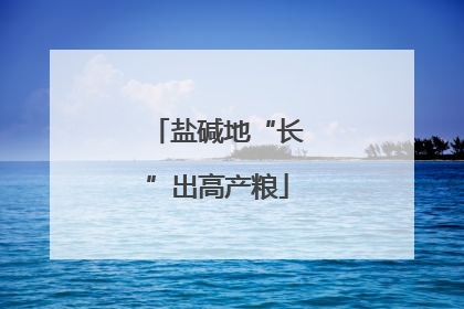 盐碱地“长”出高产粮