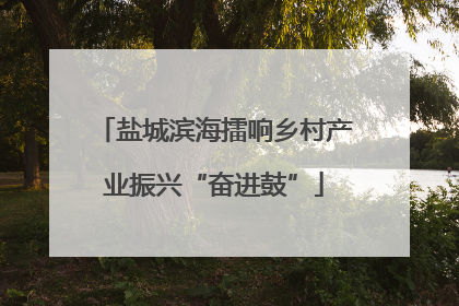 盐城滨海擂响乡村产业振兴“奋进鼓”