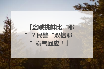 盗贼挑衅比“耶”？民警“双倍耶”霸气回应！