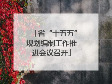 省“十五五”规划编制工作推进会议召开