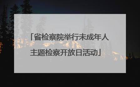省检察院举行未成年人主题检察开放日活动