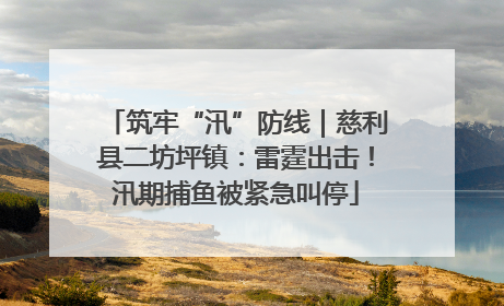 筑牢“汛”防线｜慈利县二坊坪镇：雷霆出击！汛期捕鱼被紧急叫停