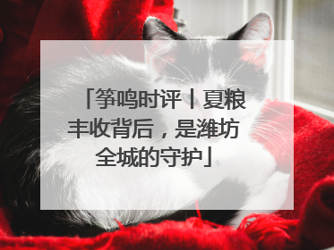 筝鸣时评丨夏粮丰收背后，是潍坊全城的守护