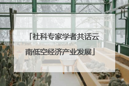 社科专家学者共话云南低空经济产业发展