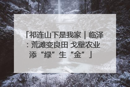 祁连山下是我家｜临泽：荒滩变良田 戈壁农业添“绿”生“金”