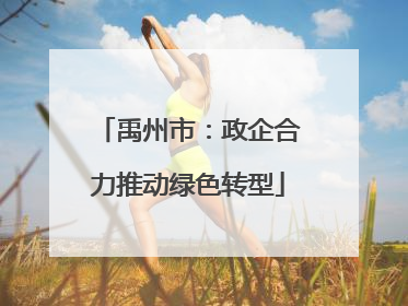 禹州市：政企合力推动绿色转型