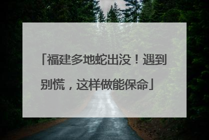 福建多地蛇出没！遇到别慌，这样做能保命