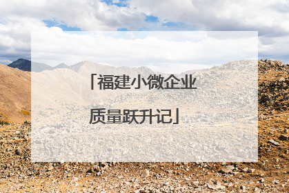 福建小微企业质量跃升记