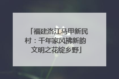 福建洛江马甲新民村：千年家风拂新韵 文明之花绽乡野