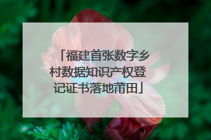 福建首张数字乡村数据知识产权登记证书落地莆田