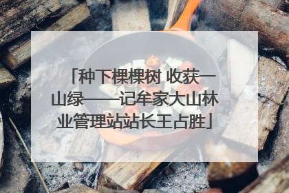 种下棵棵树 收获一山绿——记牟家大山林业管理站站长王占胜