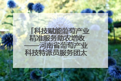 科技赋能葡萄产业 精准服务助农增收——河南省葡萄产业科技特派员服务团太康县科技服务纪实