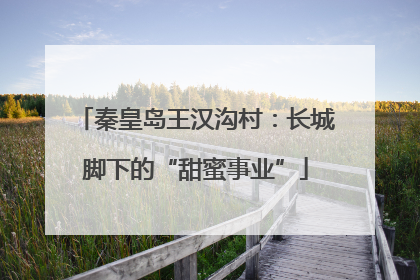 秦皇岛王汉沟村：长城脚下的“甜蜜事业”
