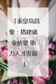 秦皇岛昌黎：搭建就业桥梁 助力人才发展