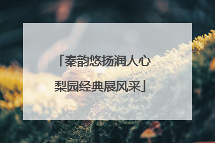 秦韵悠扬润人心 梨园经典展风采