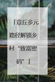 章丘多元路径解锁乡村“致富密码”