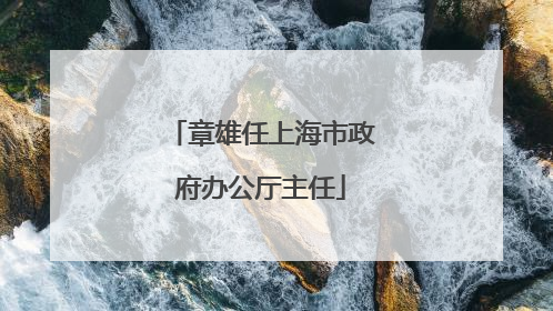章雄任上海市政府办公厅主任