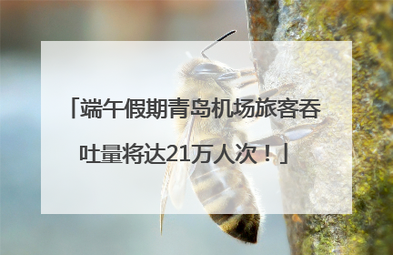端午假期青岛机场旅客吞吐量将达21万人次！