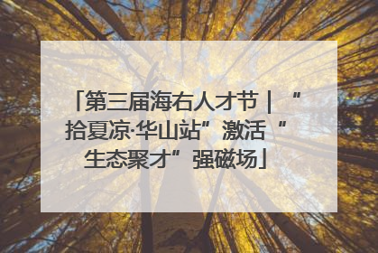 第三届海右人才节｜“拾夏凉·华山站”激活“生态聚才”强磁场