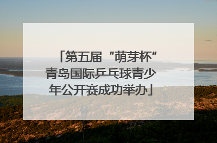 第五届“萌芽杯”青岛国际乒乓球青少年公开赛成功举办