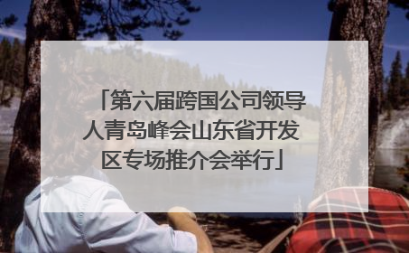 第六届跨国公司领导人青岛峰会山东省开发区专场推介会举行