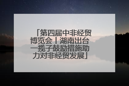 第四届中非经贸博览会丨湖南出台一揽子鼓励措施助力对非经贸发展