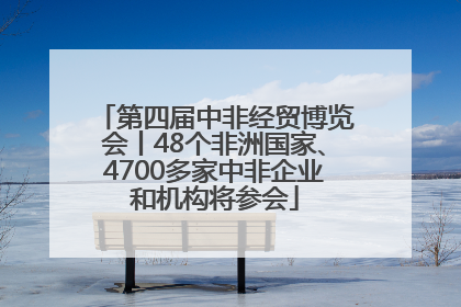 第四届中非经贸博览会丨48个非洲国家、4700多家中非企业和机构将参会