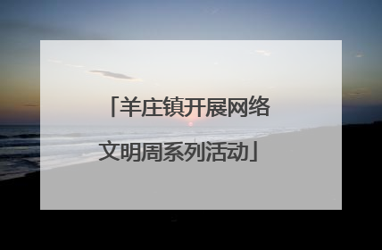 羊庄镇开展网络文明周系列活动