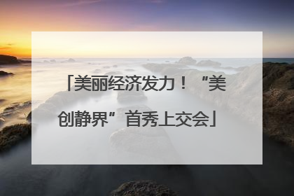 美丽经济发力！“美创静界”首秀上交会