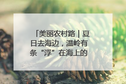 美丽农村路｜夏日去海边，温岭有条“浮”在海上的公路你去过吗？