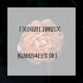 美国进口钢铝关税加倍4日生效