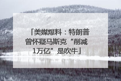 美媒爆料：特朗普曾怀疑马斯克“削减1万亿”是吹牛