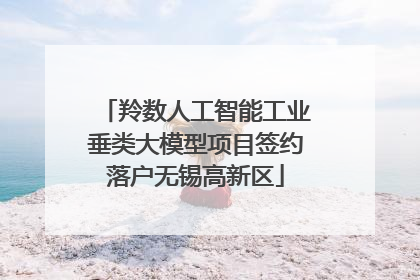 羚数人工智能工业垂类大模型项目签约落户无锡高新区